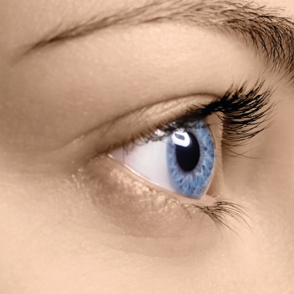 FILLERINA 12HA Densifying-Filler za oči i kapke 15 ml - Slika 4